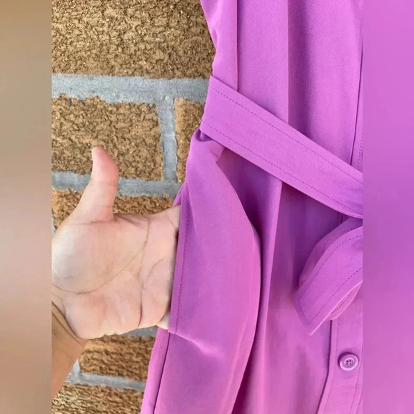 Everlane Magenta Japanese GoWeave Picnic Button Front Dress size 4 - Picture 3 of 11